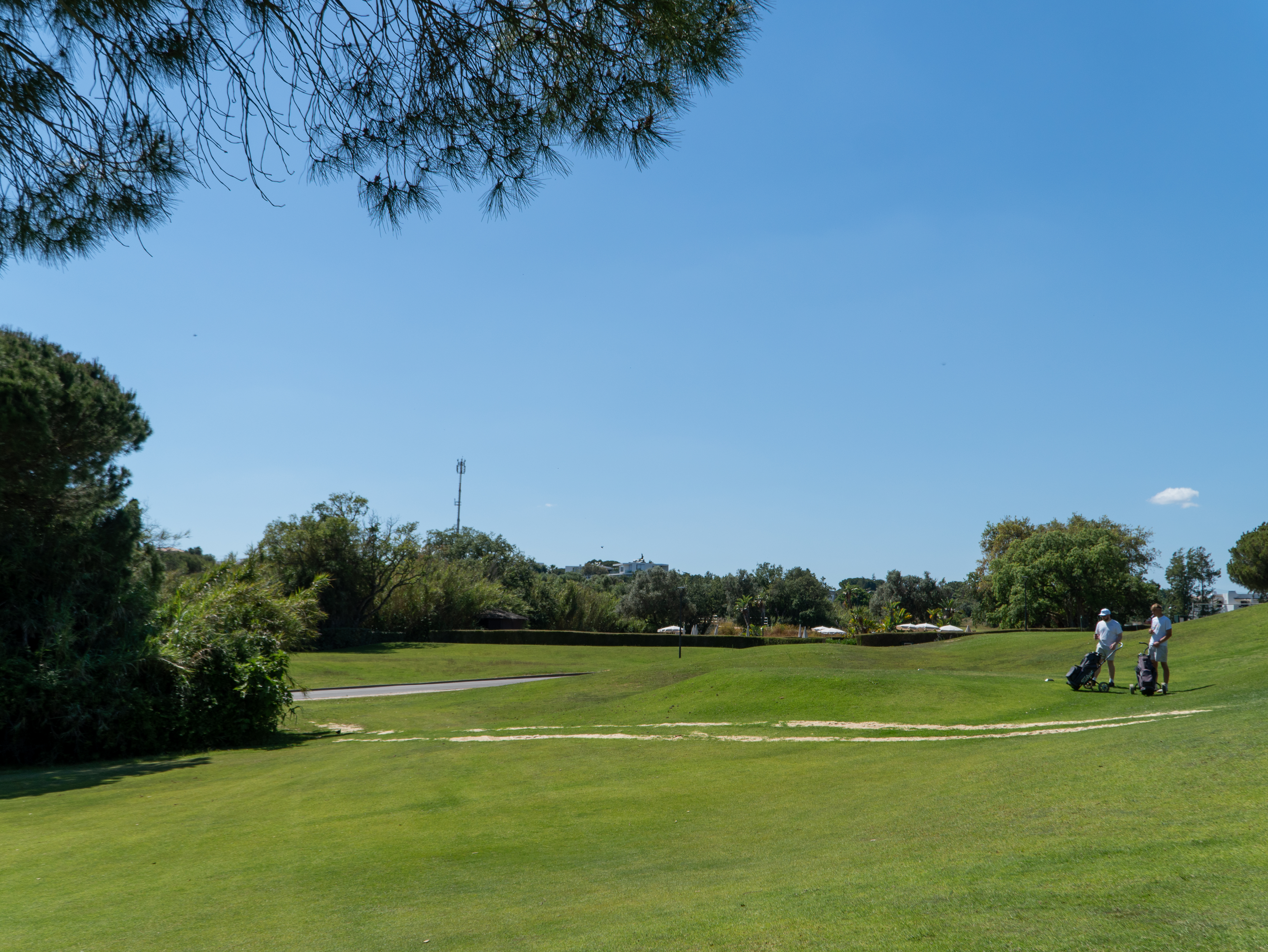 Golf Course