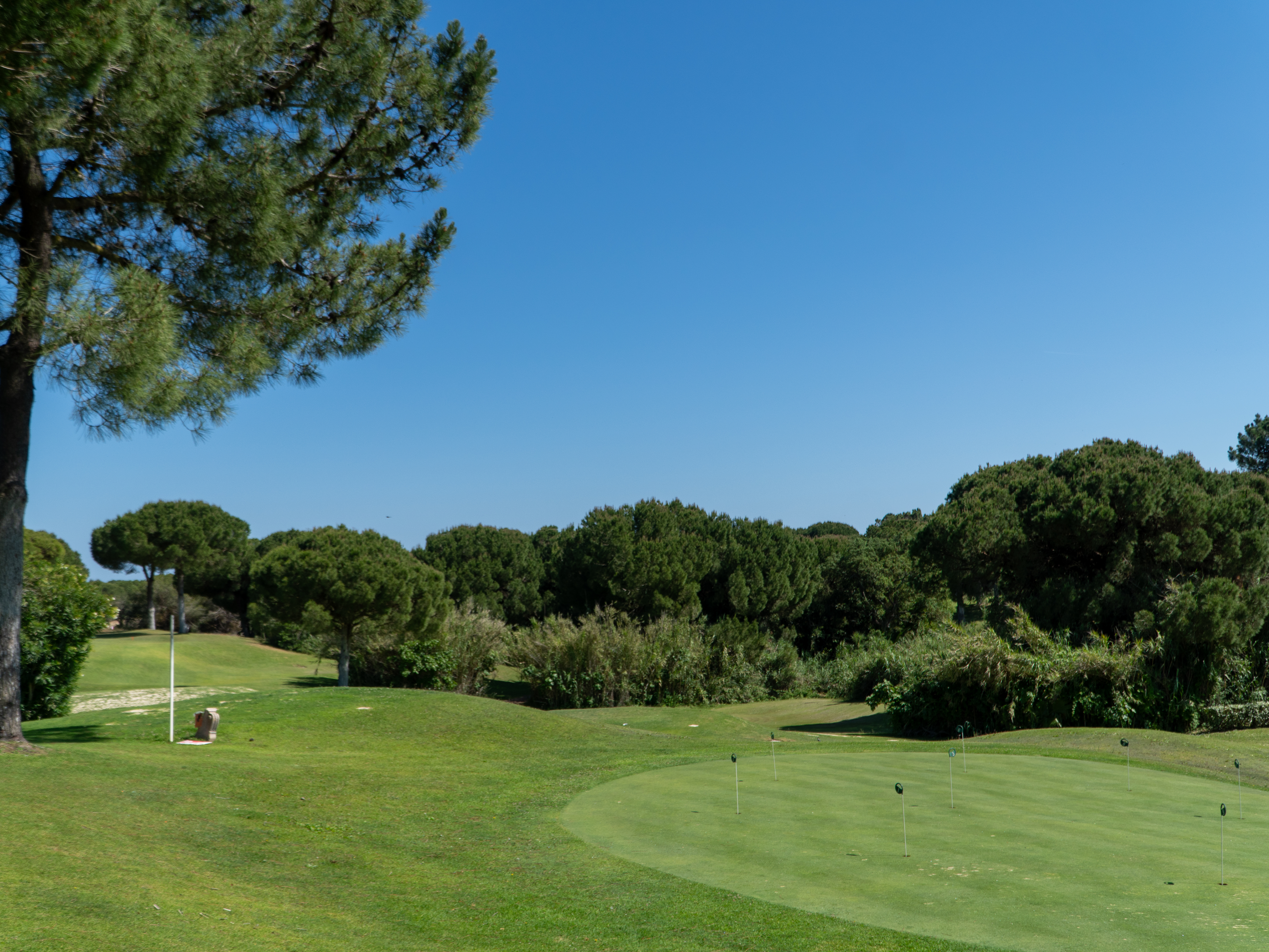 Golf Course